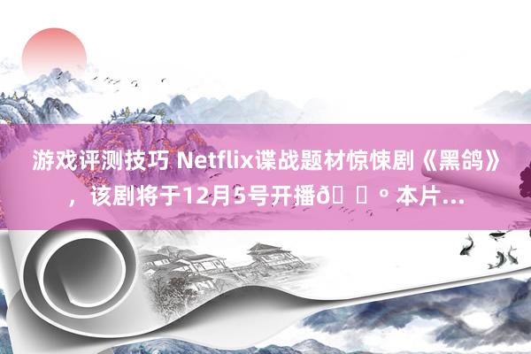 游戏评测技巧 Netflix谍战题材惊悚剧《黑鸽》，该剧将于12月5号开播📺 本片...