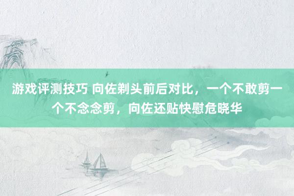 游戏评测技巧 向佐剃头前后对比，一个不敢剪一个不念念剪，向佐还贴快慰危晓华