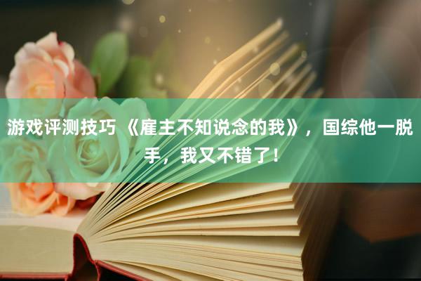 游戏评测技巧 《雇主不知说念的我》，国综他一脱手，我又不错了！