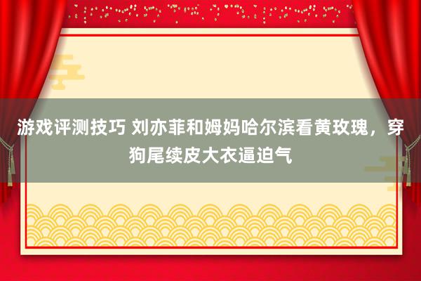 游戏评测技巧 刘亦菲和姆妈哈尔滨看黄玫瑰，穿狗尾续皮大衣逼迫气