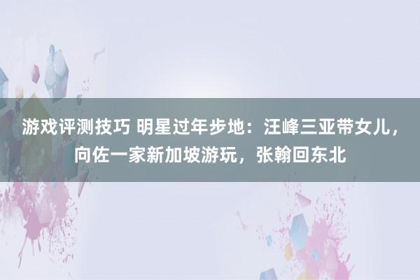 游戏评测技巧 明星过年步地：汪峰三亚带女儿，向佐一家新加坡游玩，张翰回东北