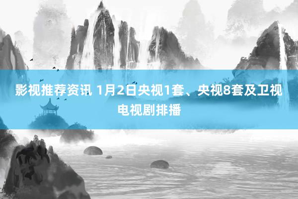 影视推荐资讯 1月2日央视1套、央视8套及卫视电视剧排播