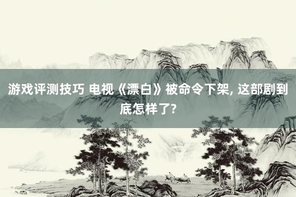 游戏评测技巧 电视《漂白》被命令下架, 这部剧到底怎样了?